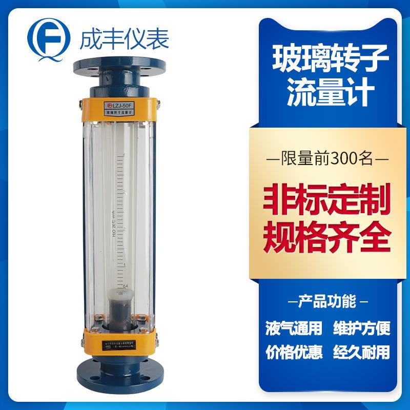 成丰J家LZ-50FELB法型氯气流量计内衬四氟防腐型玻厂璃转子流兰量