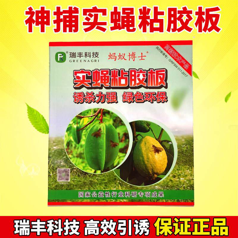 瓜果实蝇黏胶板苍蝇针锋蜂粘虫板桔小实蝇柑橘果食苍蝇贴诱粘果蝇