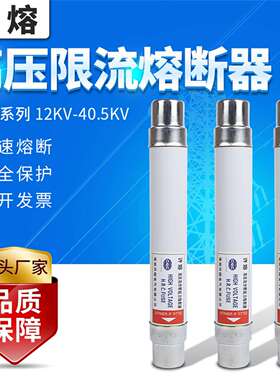 XRNT1-24KV/5A8A10A16A20A25A31.5A40A高压限流熔断器51*510保险