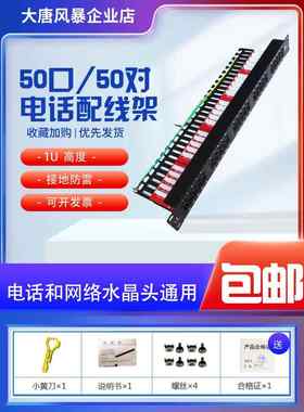 大唐风暴理线架50口50对大对数电话线语音机架式110机柜配线架