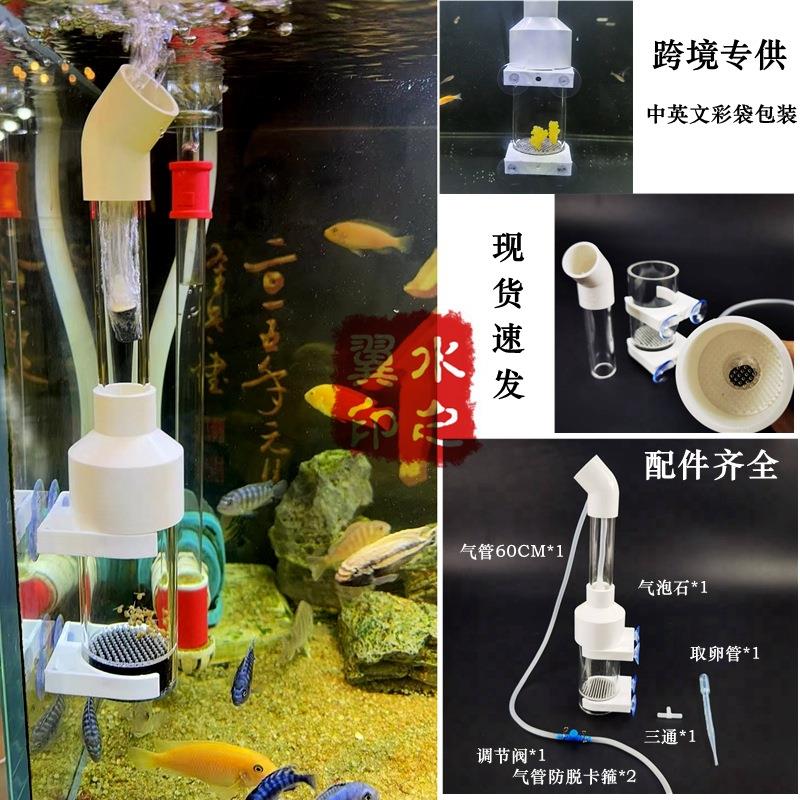 跨境现货-50MM鱼卵孵化器三湖慈鲷鱼卵异型底栖观赏鱼热带鱼繁殖