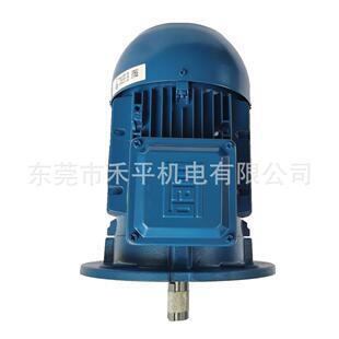 04优惠供应5.5KW 132S W21 立式 法兰安装 4极 WEG电机3