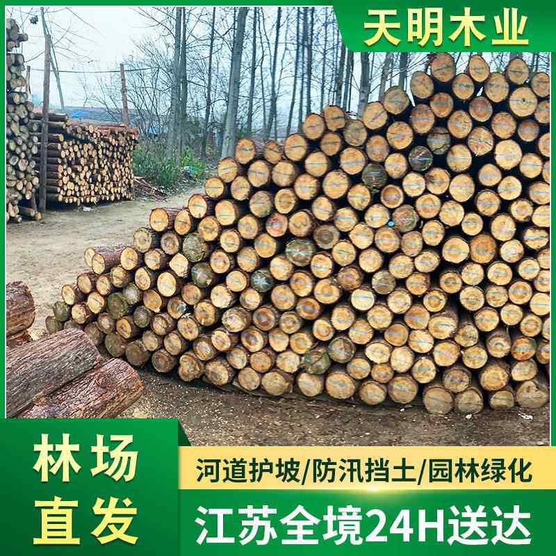 杉木原木桩户外河道驳岸实木打桩木堤坝防汛木桩落叶松圆木桩