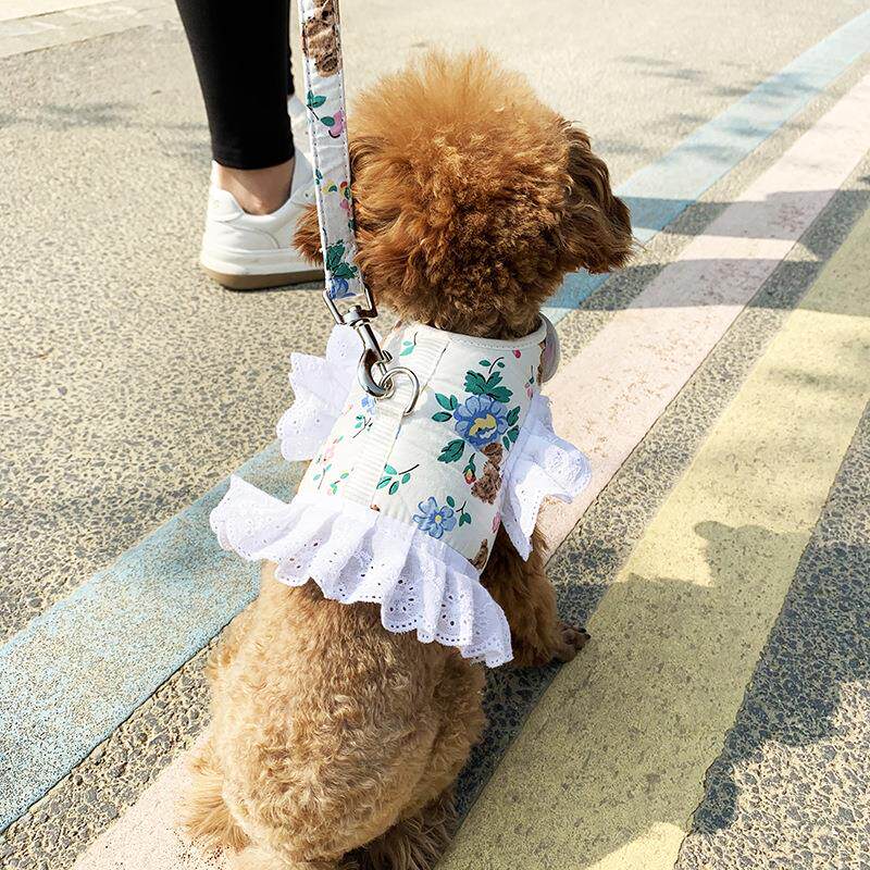 泰迪狗衣服网红比熊秋季可爱宠物博美狗狗胸背带幼犬小型犬牵引绳