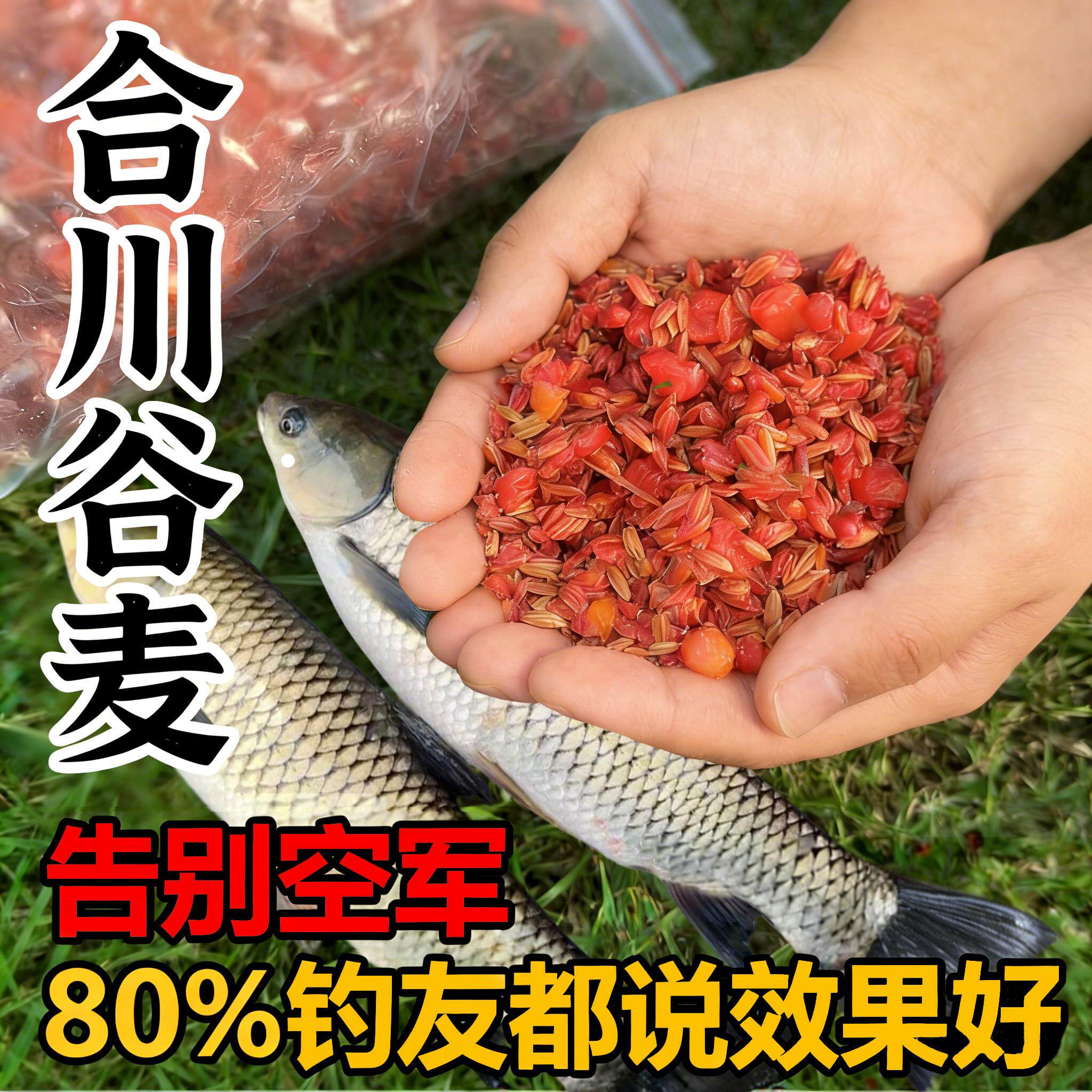 鲤鱼草鱼鲢鳙专用野钓打窝料逗钓合川谷麦窝料五谷杂粮袋装饵料