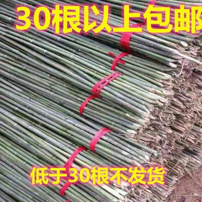 竹竿各种规格竹竿子 菜园搭架栏杆 篱笆竹围栏竹子栅栏旗竹杆竹子