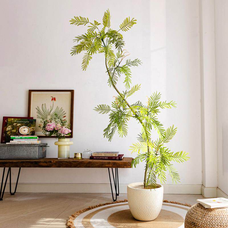 密叶猴耳环彷真绿植高端轻奢室内客厅彷生大型落地假树植物装饰