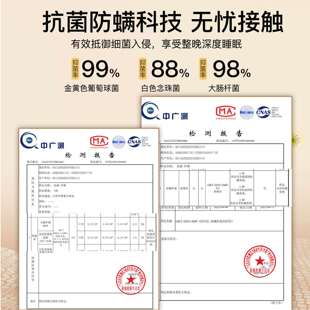 全棉抗菌床褥垫纯棉床垫家用卧室软垫子可拆卸单人学生宿舍不塌陷