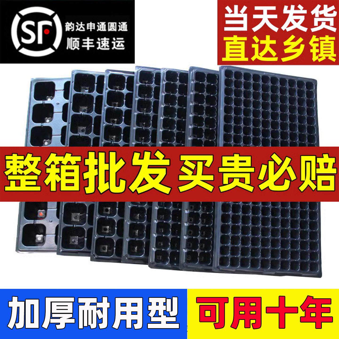 育苗盘托盘加厚穴盘西瓜玉米辣椒西红柿蔬菜幼苗培育杯扦插塑料盆