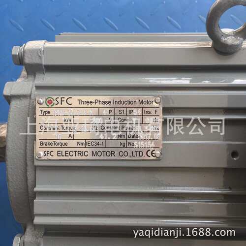 THREE-PHASE INDUCTION MOTOR电机