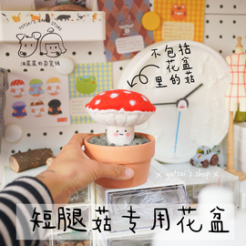 成品短腿菇专用花盆 娃用拍摄道具油菜菜的杂货铺