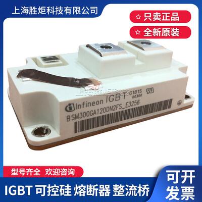全新BSM300GA120DN2FS_E3256 2S_E3256 BSM300GA170DN2S_E3256