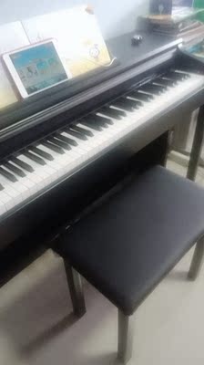 如何评价TheONE和卡西欧电钢琴比，应该选择谁呢？