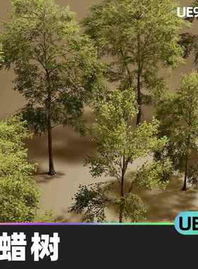 Foliage VOL 7 Ash Trees Nanite and Low Poly白蜡树UE5环境植物