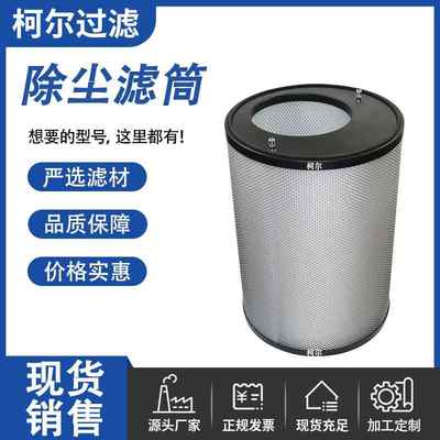 替代AERZEN艾珍罗茨风机空气过滤器滤芯176206000空压机偏心滤芯