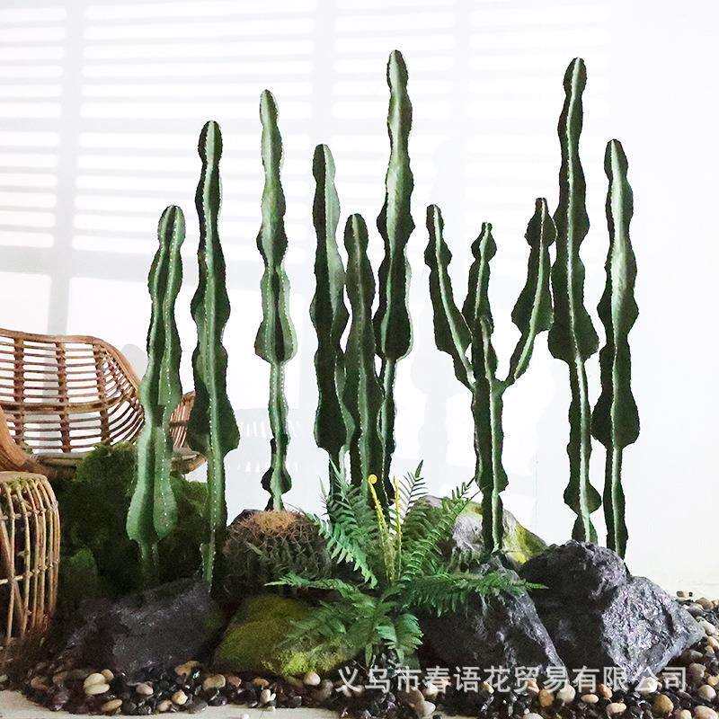 仿真假仙人掌绿植盆栽装饰花槽摆件拍照墙简约背景沙漠植物盆景