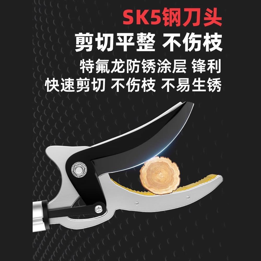 摘水果采摘枇杷荔枝杨梅龙眼杏子摘果神器伸缩杆高空剪树枝高枝剪图片