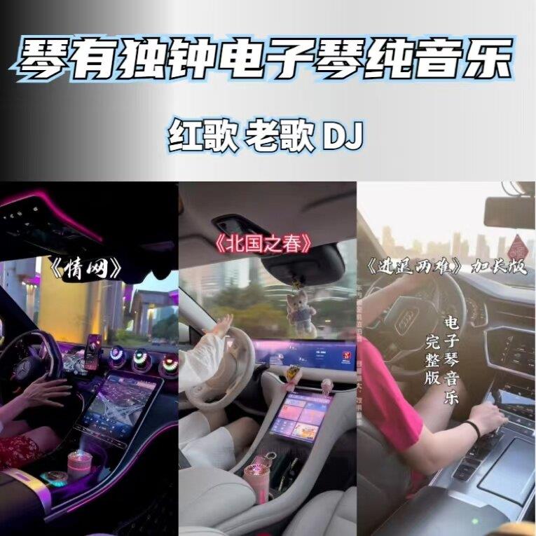 琴有独钟车载电子琴纯音乐老歌红歌djUSB随身碟怀旧电子琴随身碟