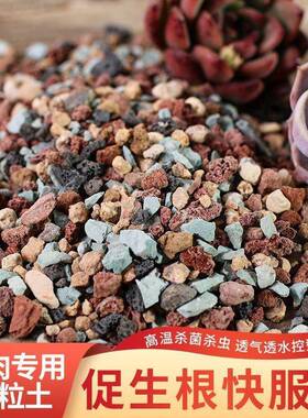 多肉颗粒专用土园艺种植多肉土垫底铺面火山石黄金麦饭石颗粒土