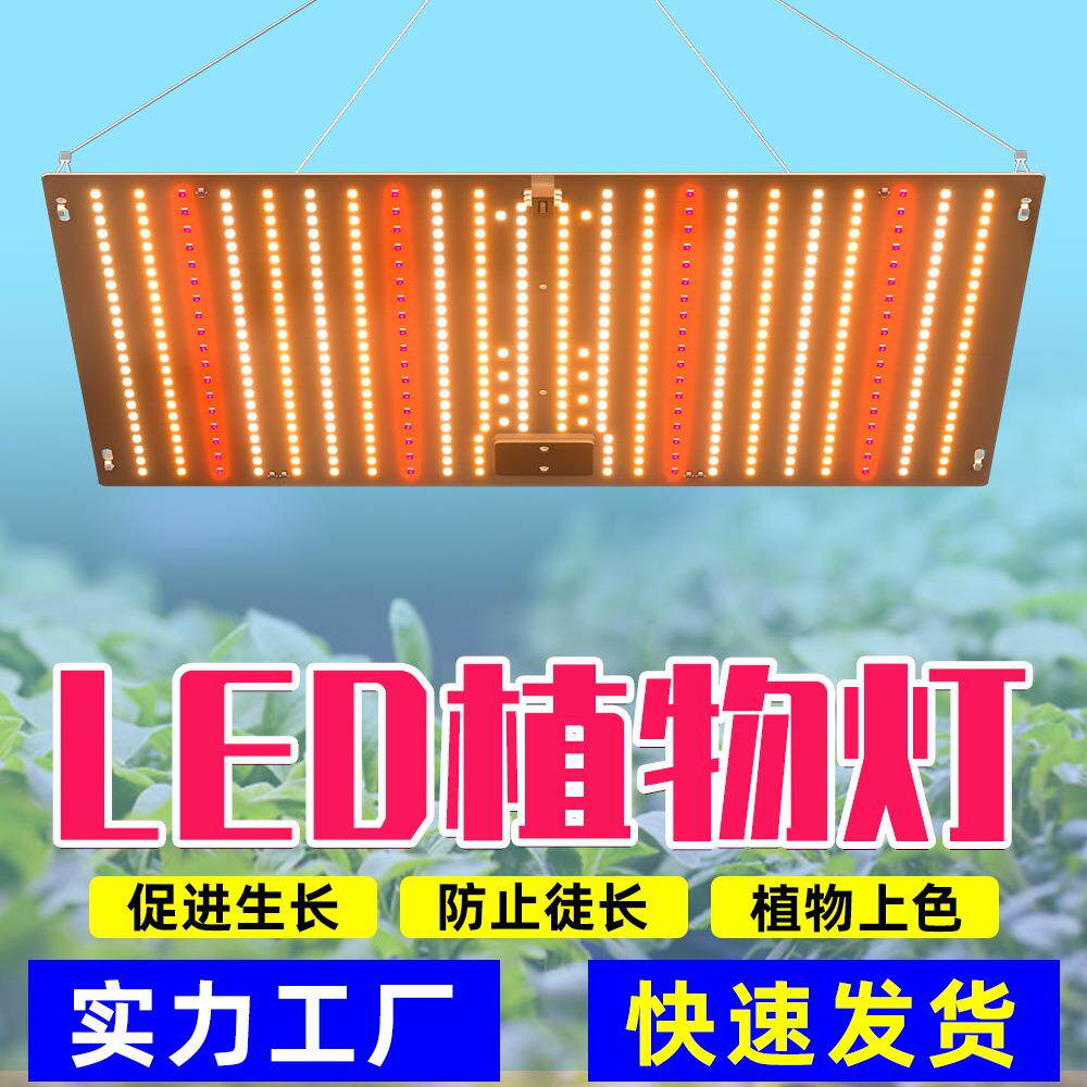 全光谱植物生长补光灯仿太阳光室内种植灯草莓蔬菜花卉绿植水培灯