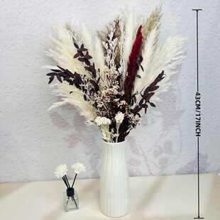 组合干花束小芦苇兔尾草拂尘北欧风家居装 饰插花混搭干花批发