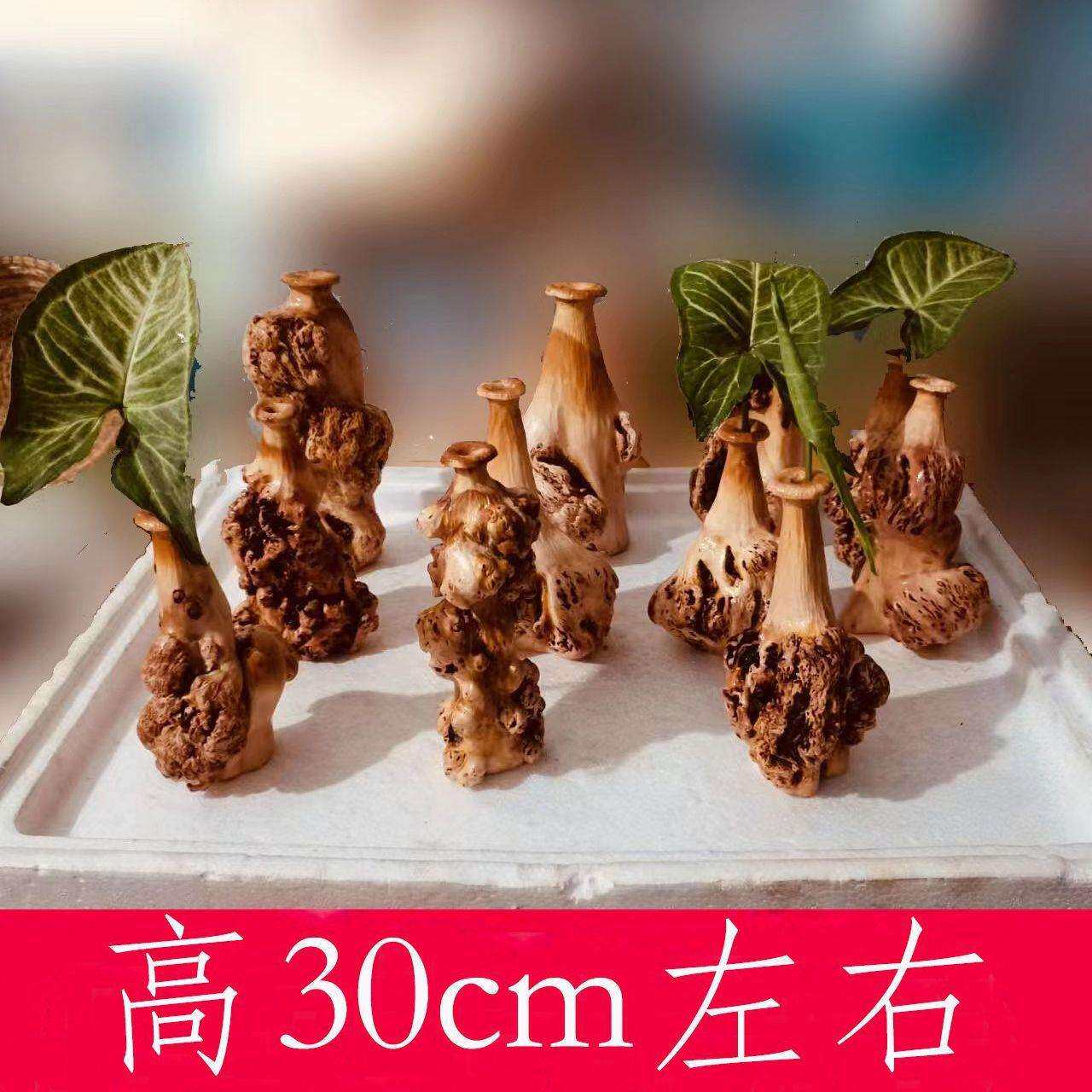 黑果木拐杖云南天然木质一体老人拐棍奇特缠藤手杖根雕禅杖文玩