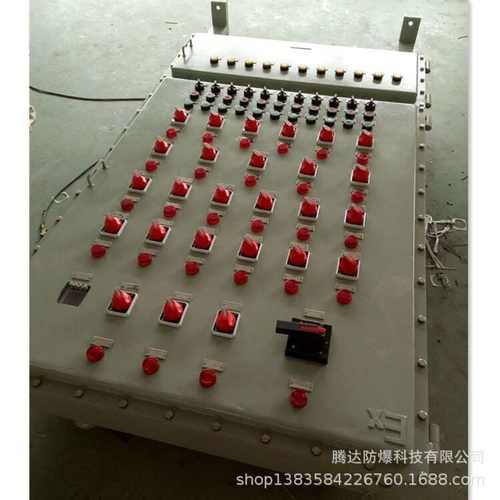 钢板防爆柜 落地立式柜 成套定 制防爆柜体  浙江厂家腾达