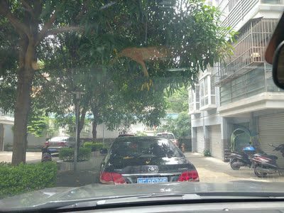 强生汽车贴膜怎么样是哪里生产的，值吗