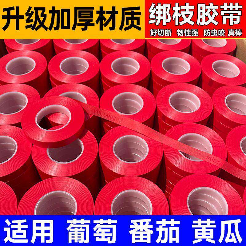 绑枝机胶带番茄番茄葡萄蔓藤夹梆枝神器结束带帮枝器钉子配件