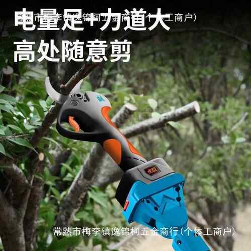 德国臣枝加长杆大功率园林工具高虎77284785枝剪电动伸全缩修杆自