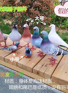 大鸽子彷真灰鸽子广场鸽泡沫材质假鸟家居装饰品摆件不能室外淋雨