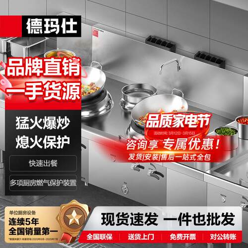 德玛仕商用燃气大锅灶台 食堂猛火炒菜炉 双头单尾小炒灶哇噢