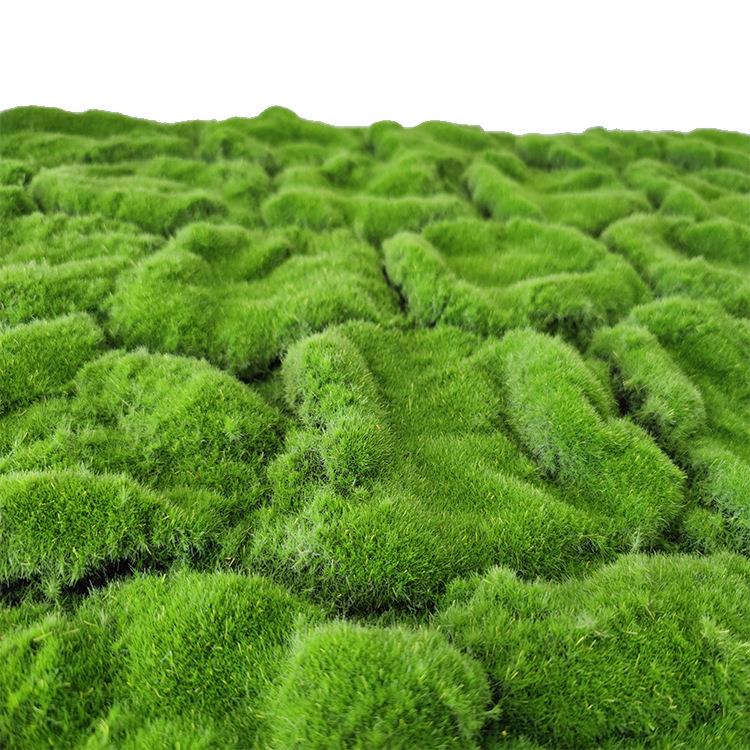 仿真苔藓草皮假苔藓室内景观青苔草皮场景橱窗造景微景观假草坪
