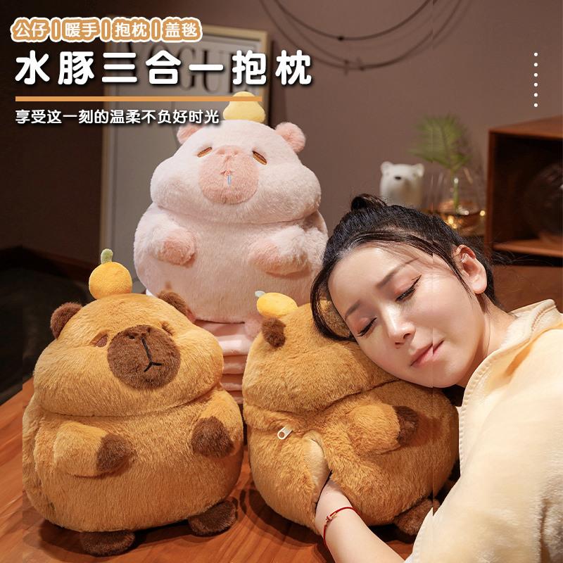 可爱水豚车载毛毯抱枕被子两用办公室学生午睡枕头毯子少女心靠枕