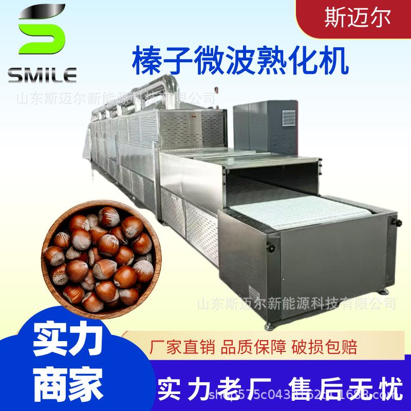 隧道式微波坚果熟化机榛子干燥杀虫卵设备微波烘干熟化设备