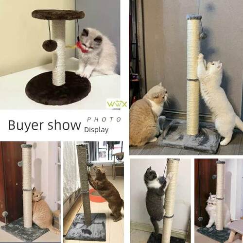 Tall Cat Scratching Post Cat Interactive Toys Cat Scratch