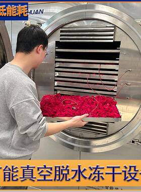 可试机小平方蓝莓冻干机果蔬真空冻干设备多用途真空冷冻干燥机