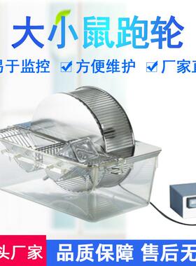 大鼠跑轮实验室电动两用自主跑轮全封闭可计跑动轮周数小鼠跑轮