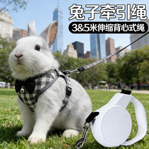 兔子衣服牵引绳外出专用溜兔兔防挣脱遛宠物兔神器可调节拴侏儒兔