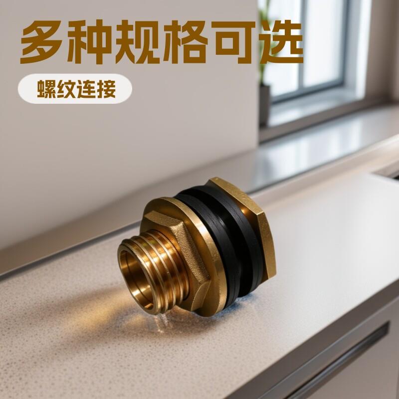黄铜外丝4分6分1寸鱼缸水水箱接头 加长内外丝法兰穿板直接