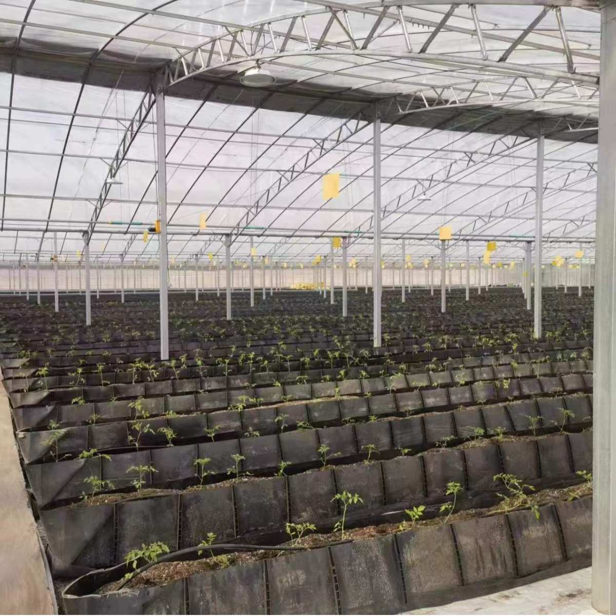 双拱双膜连栋大棚厂家  温室双层保温大棚连栋薄膜日光温室