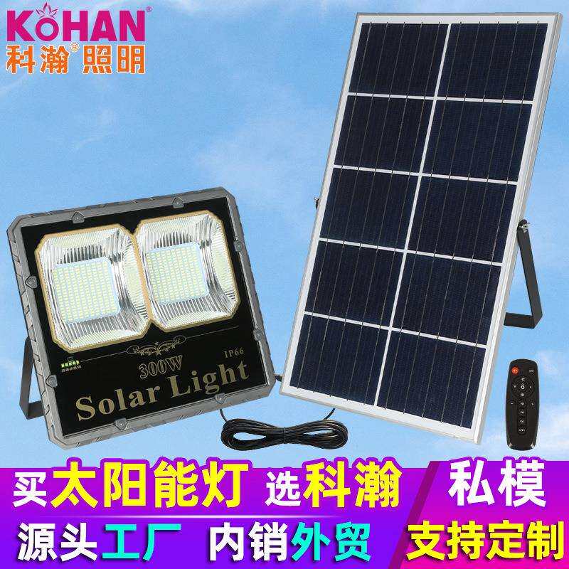 solar太阳能投光灯新款LED户外家用庭院分体式室内外农村太阳能灯