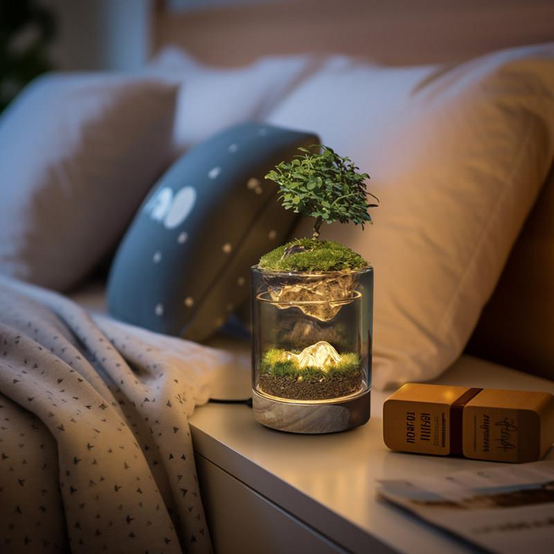 辰苔藓景观丘面生态瓶FGC办公室桌创意绿植室内种植微小盆栽摆件