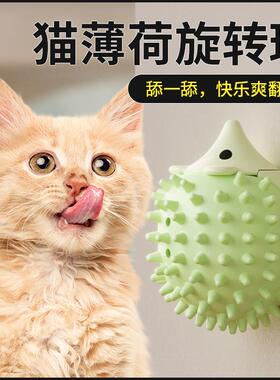 Comprehensive Cat Toy Collection: Self-Entertainment and Bor