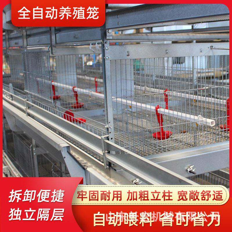 蛋鸡笼鸽子笼养殖场肉鸡A型笼层叠式养鸡设备肉鸡H型笼养殖鹌鹑笼