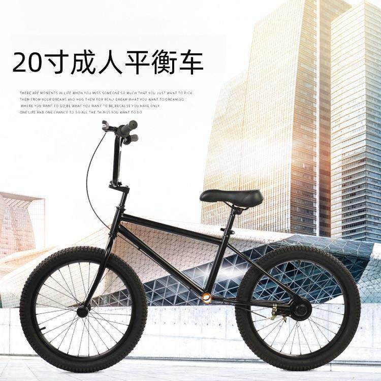 供应儿童平衡车无脚踏成人家长陪练车青少年俱乐部滑行教练车