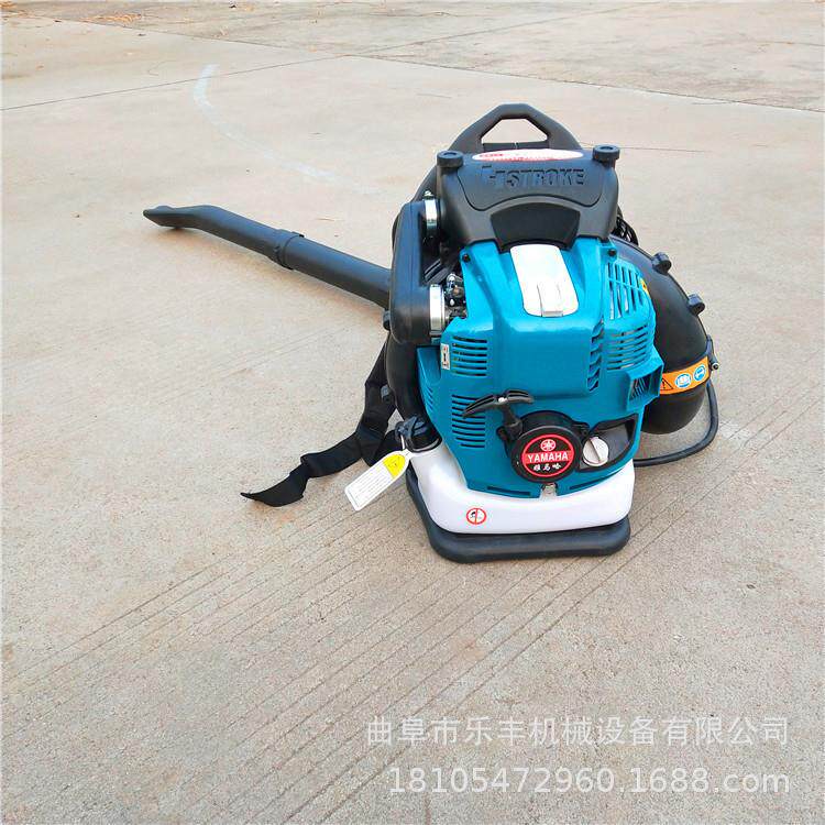 背负式大棚吹雪机 道路清洁吹灰机 砂石路面清扫吹风机价格