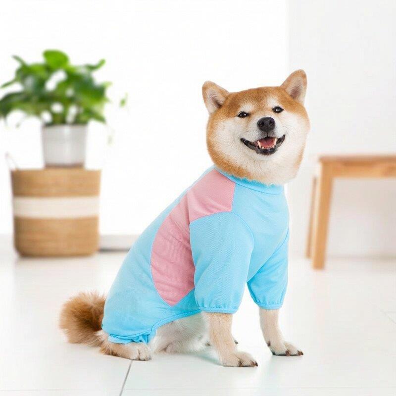 四季通用春夏居家亚马防掉毛透气四脚拼色拉布拉多柴犬狗狗衣服