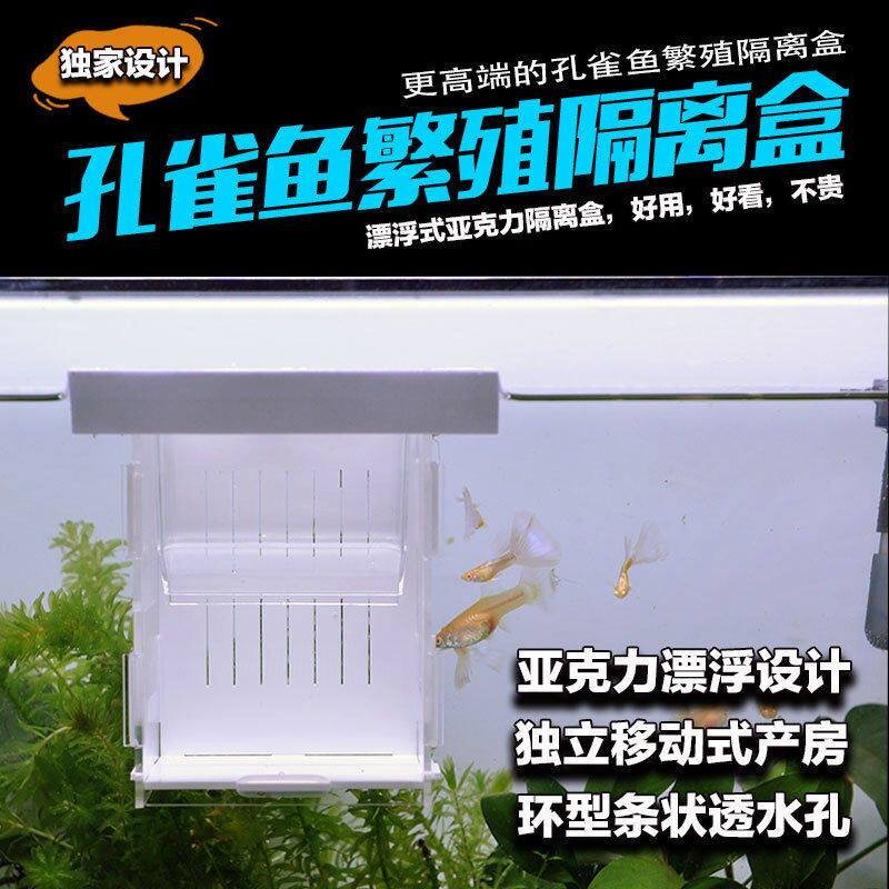 亚克力漂浮孔雀鱼小型热带鱼隔离盒孵化器母鱼产房繁殖盒繁殖