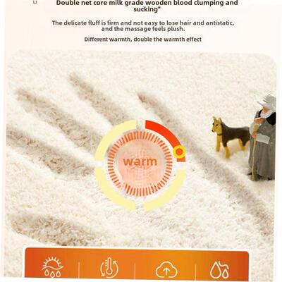 carpets rug home carpet living room mat floor rugs 客厅地毯